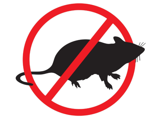 raticide